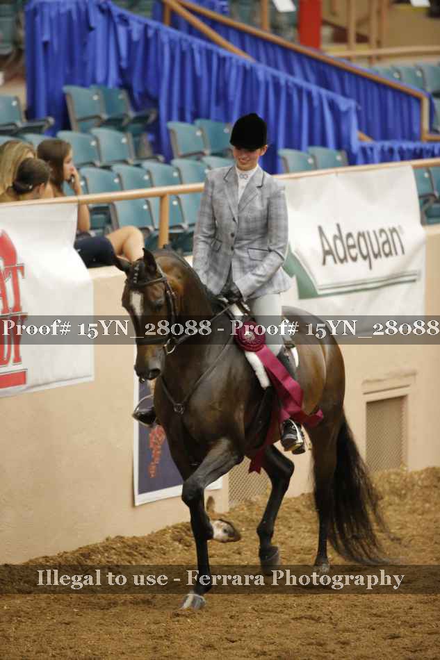Proof 15YN_28088