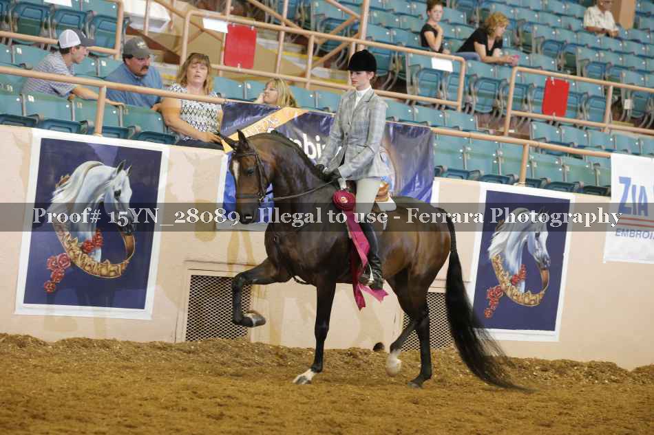 Proof 15YN_28089