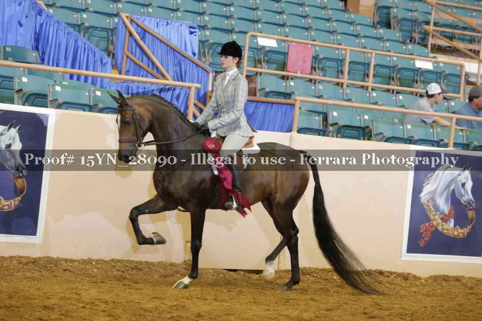 Proof 15YN_28090