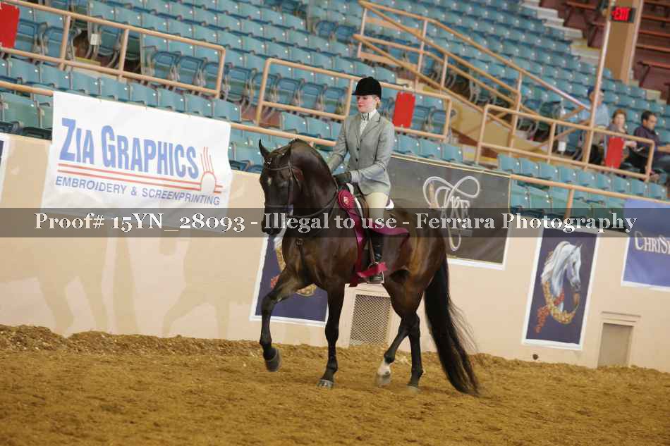Proof 15YN_28093