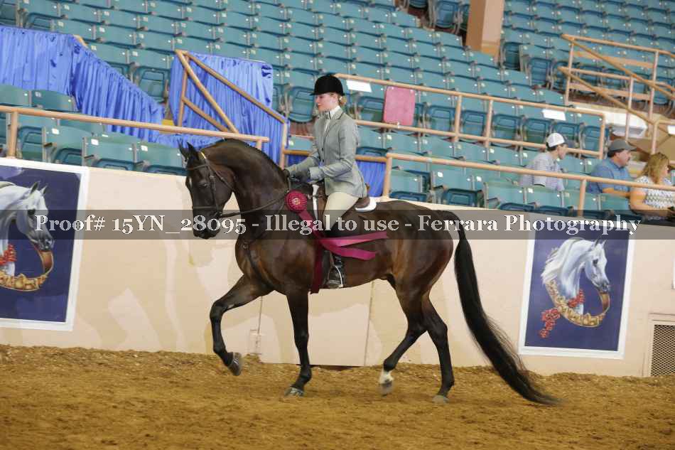 Proof 15YN_28095