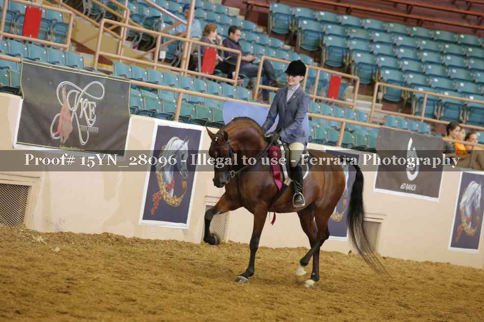 Proof 15YN_28096