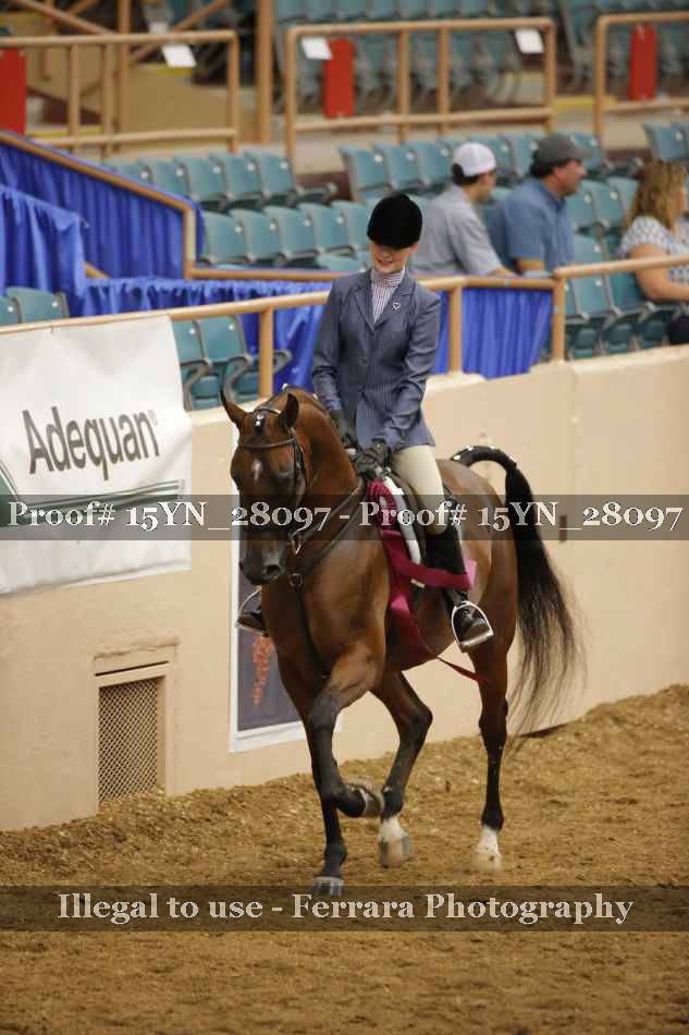 Proof 15YN_28097
