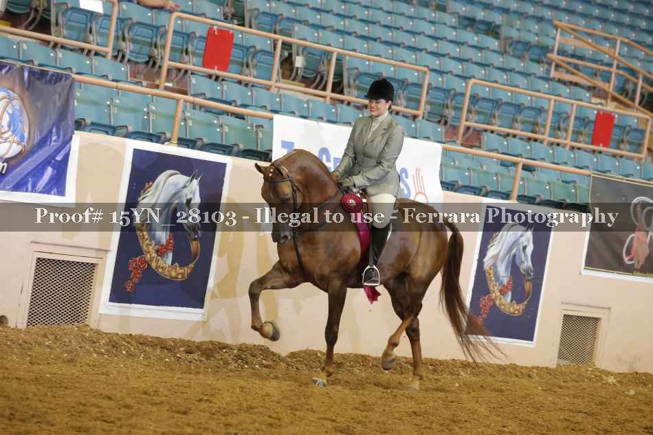 Proof 15YN_28103