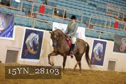15YN_28103 proof