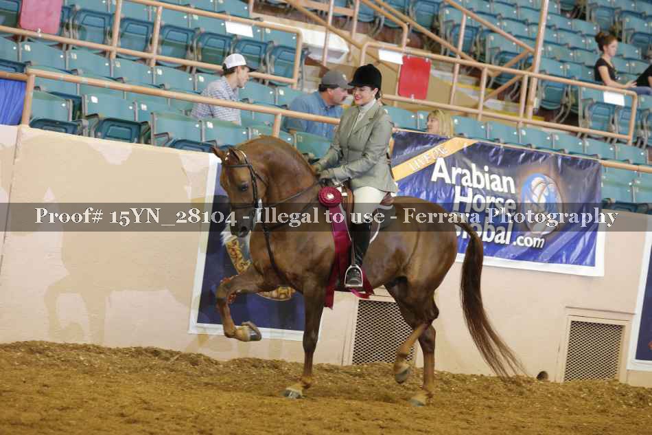 Proof 15YN_28104