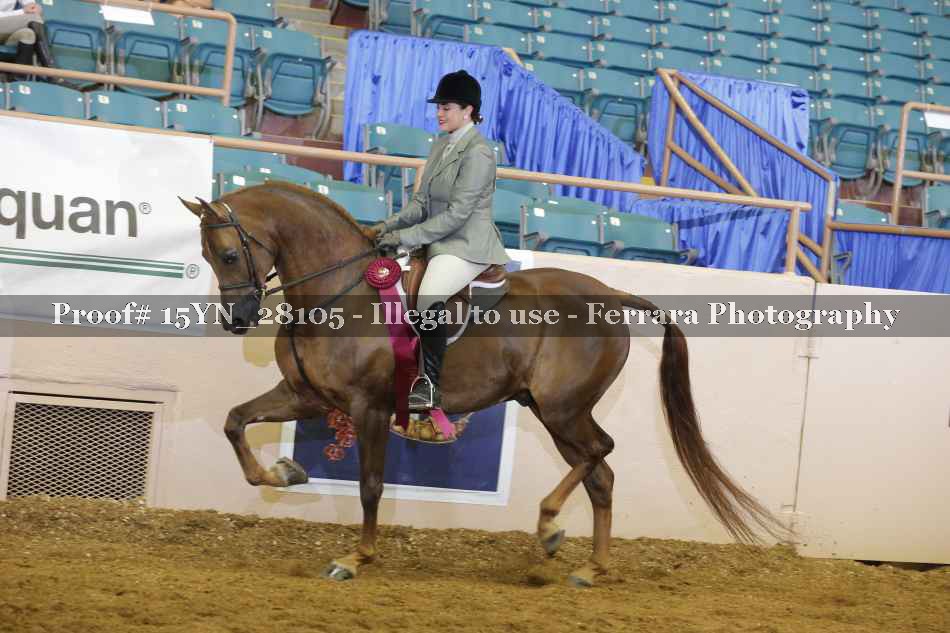 Proof 15YN_28105
