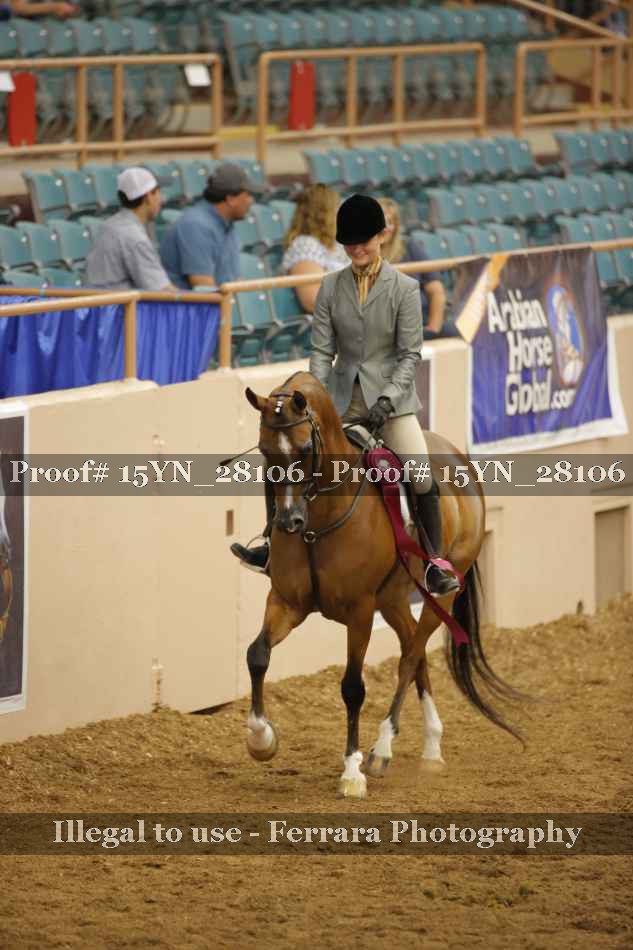 Proof 15YN_28106