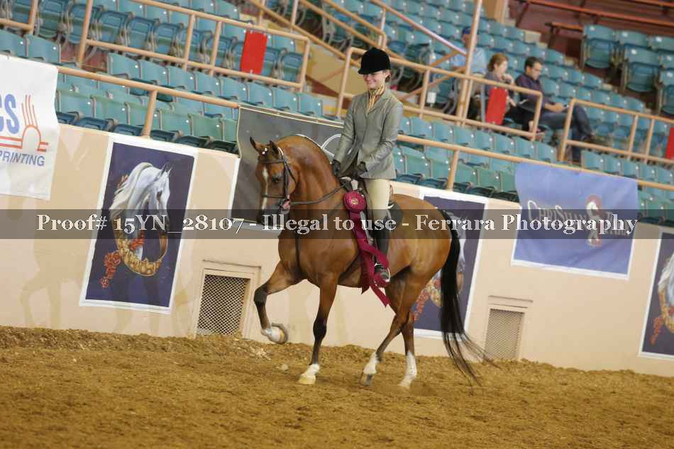 Proof 15YN_28107