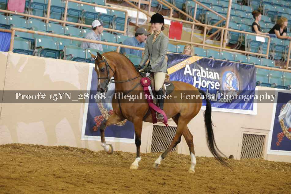 Proof 15YN_28108