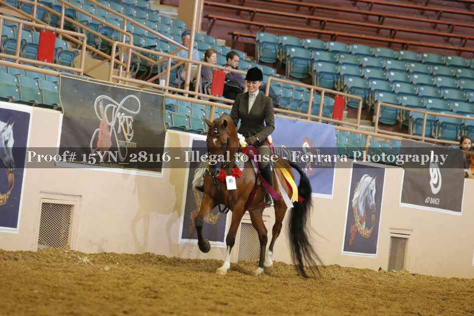 Proof 15YN_28116