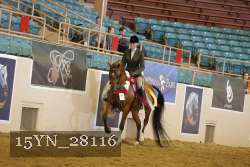 15YN_28116 proof