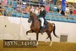 15YN_14165 proof