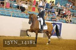 15YN_14181 proof