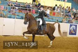 15YN_14186 proof
