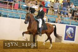 15YN_14194 proof