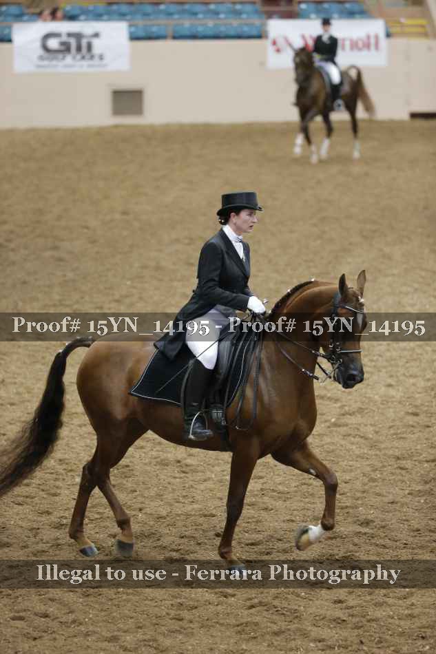 Proof 15YN_14195