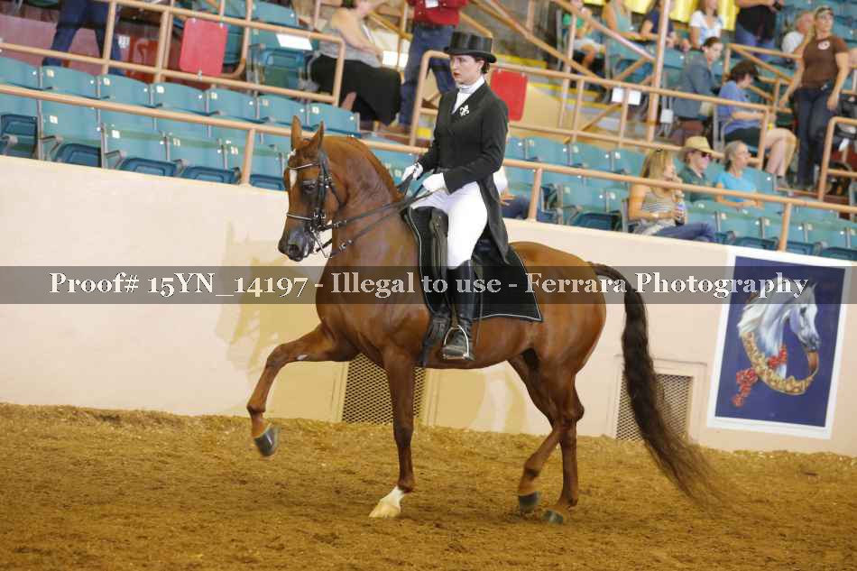 Proof 15YN_14197