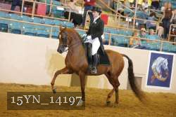 15YN_14197 proof