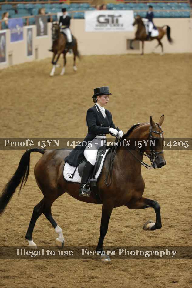 Proof 15YN_14205