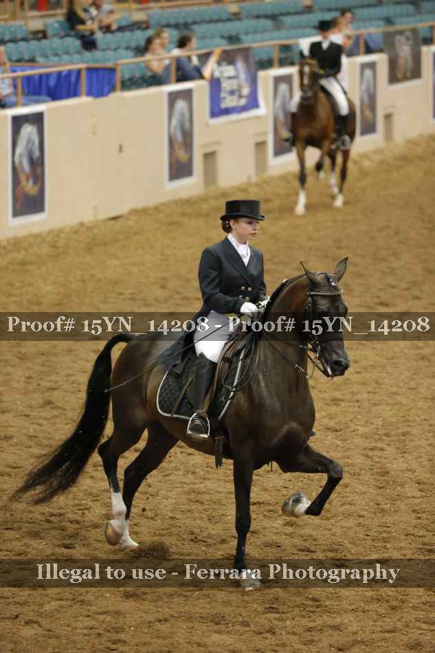 Proof 15YN_14208