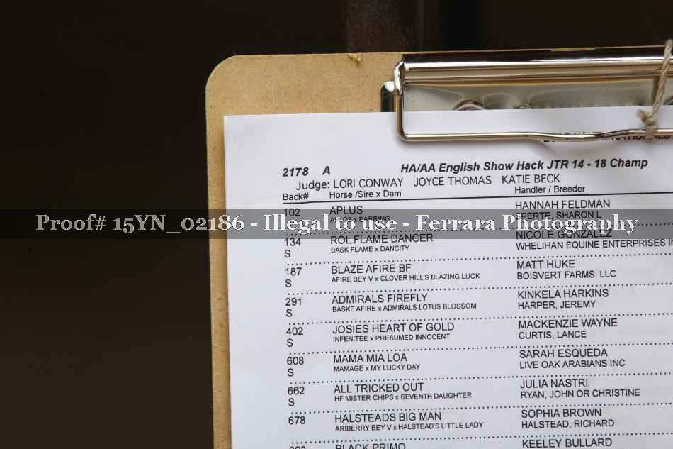 Proof 15YN_02186