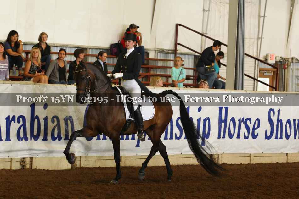 Proof 15YN_02195