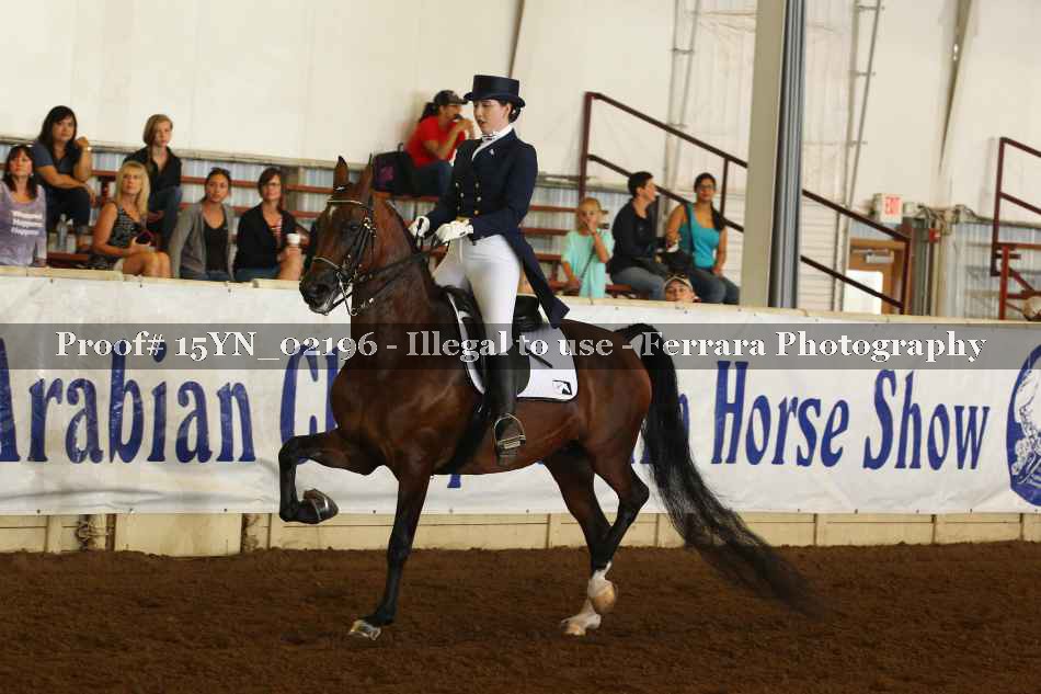 Proof 15YN_02196