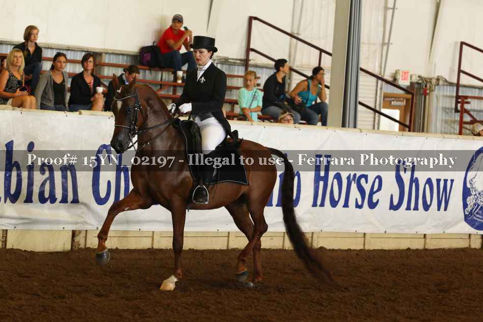Proof 15YN_02197