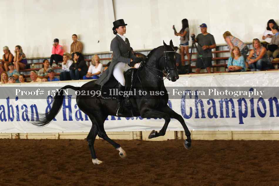 Proof 15YN_02199
