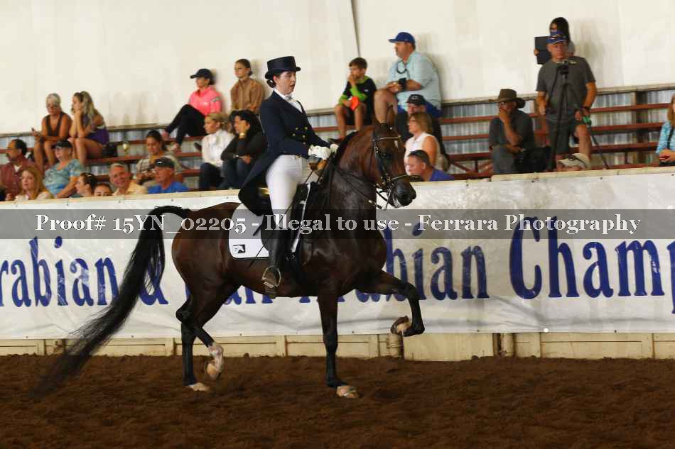 Proof 15YN_02205