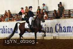 15YN_02205 proof
