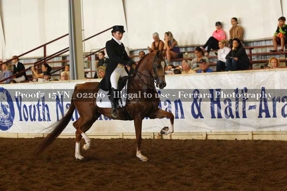 Proof 15YN_02206