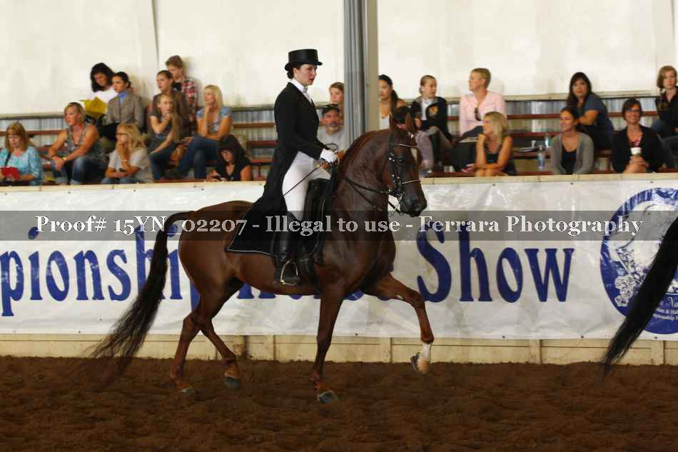 Proof 15YN_02207