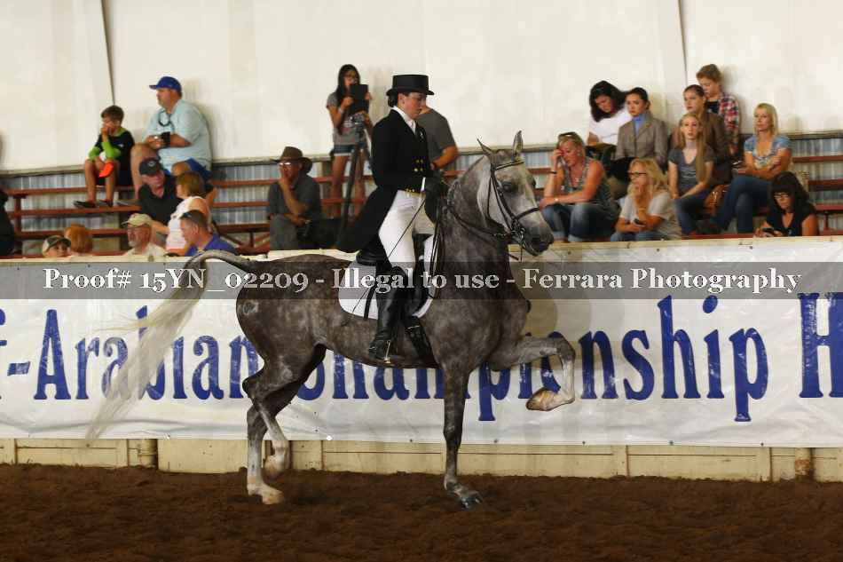 Proof 15YN_02209