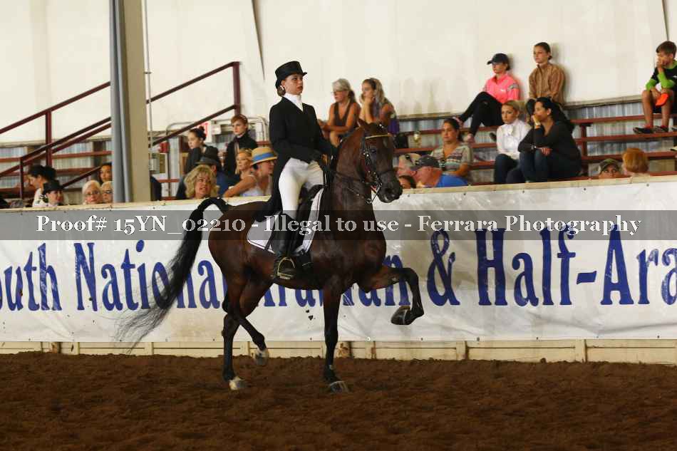 Proof 15YN_02210