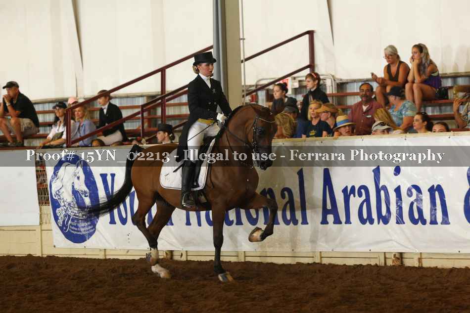 Proof 15YN_02213