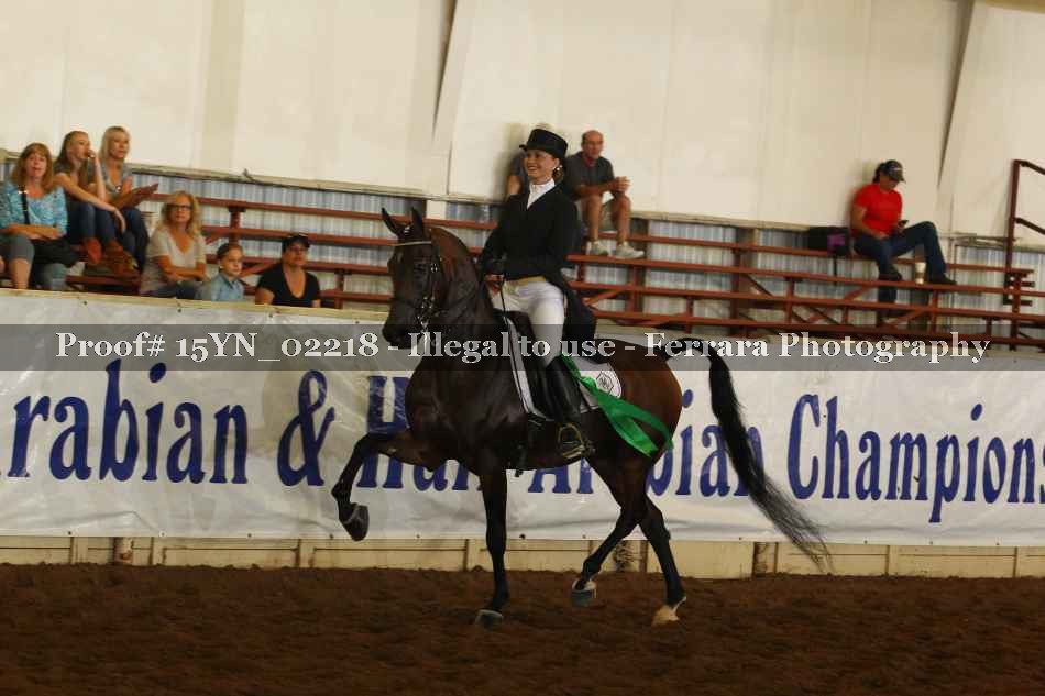 Proof 15YN_02218