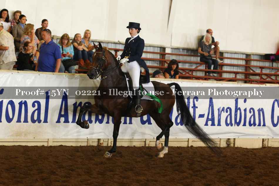 Proof 15YN_02221