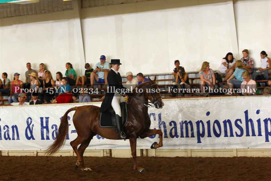 Proof 15YN_02234