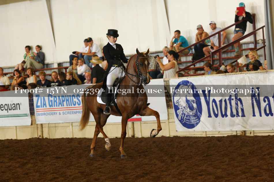 Proof 15YN_02239