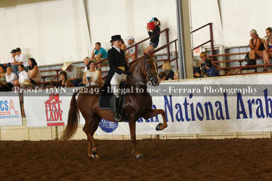 Proof 15YN_02249