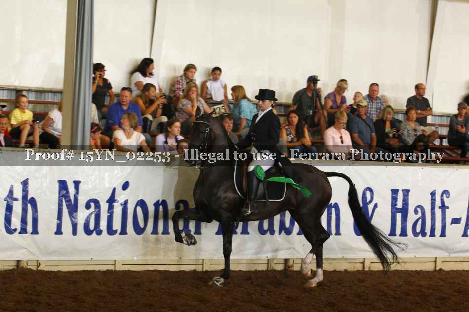 Proof 15YN_02253
