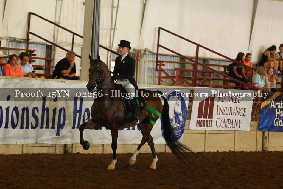 Proof 15YN_02256