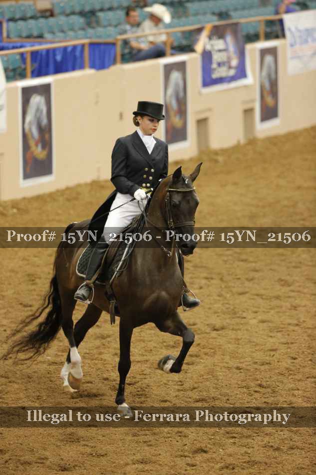 Proof 15YN_21506