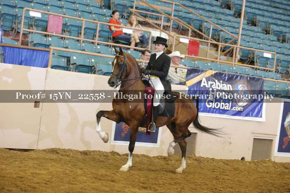 Proof 15YN_22558