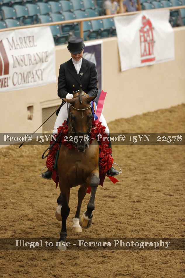 Proof 15YN_22578