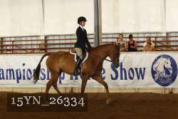 15YN_26334 proof