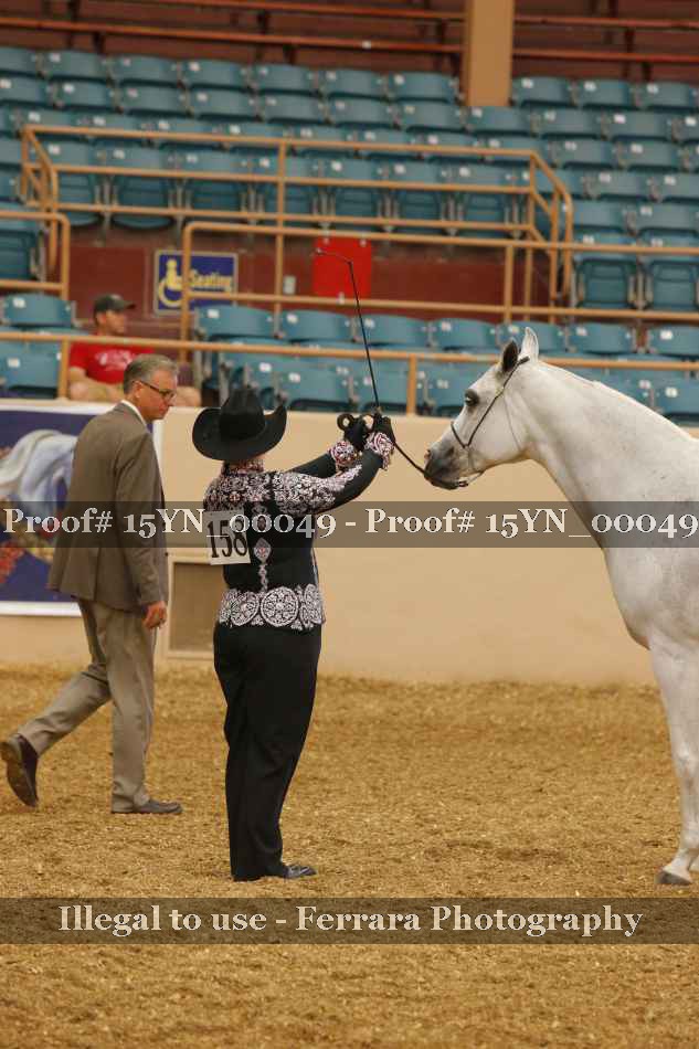 Proof 15YN_00049