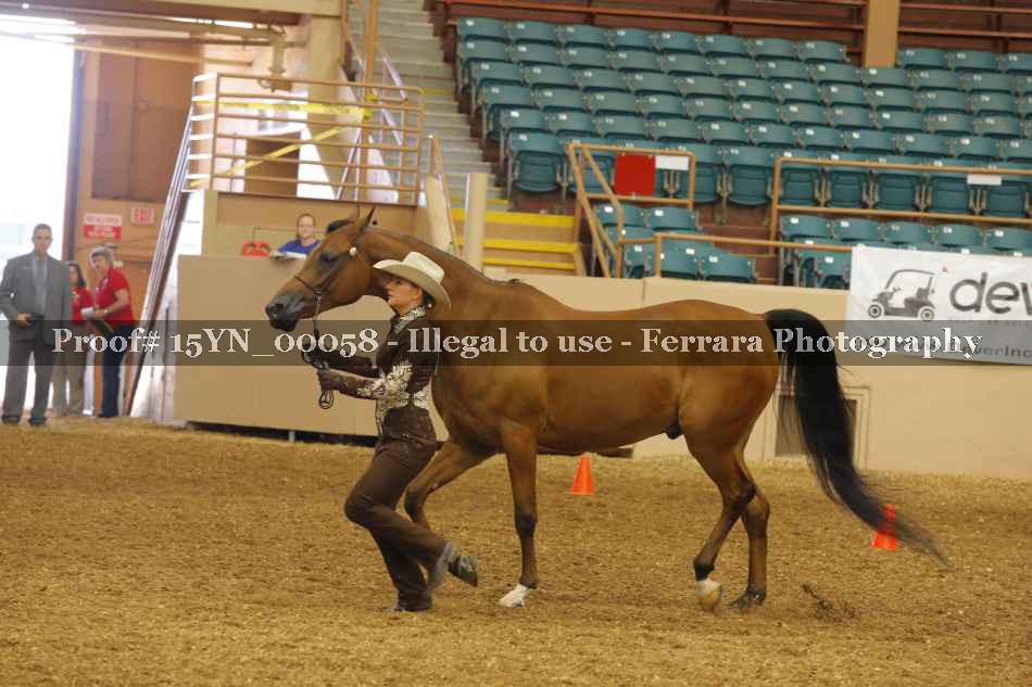 Proof 15YN_00058